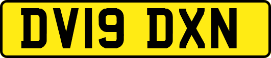 DV19DXN