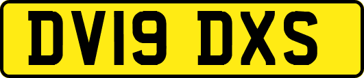 DV19DXS
