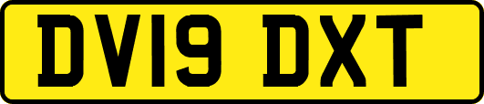 DV19DXT