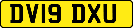DV19DXU