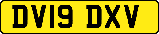 DV19DXV