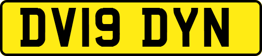 DV19DYN