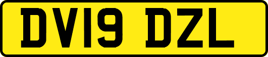 DV19DZL
