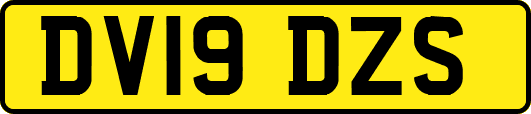 DV19DZS
