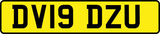 DV19DZU