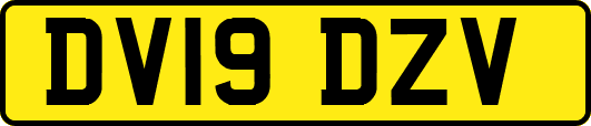 DV19DZV