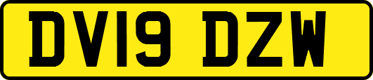 DV19DZW