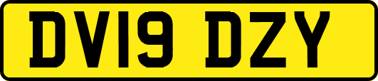 DV19DZY