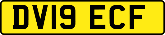 DV19ECF