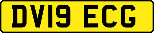 DV19ECG