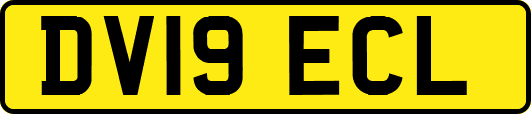 DV19ECL