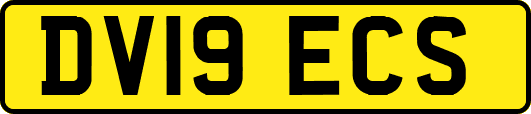 DV19ECS
