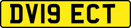 DV19ECT