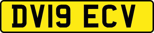 DV19ECV