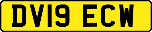 DV19ECW