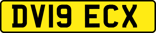 DV19ECX