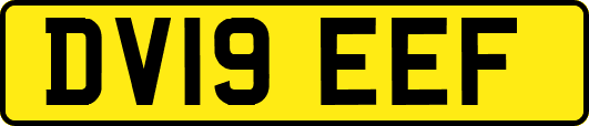 DV19EEF