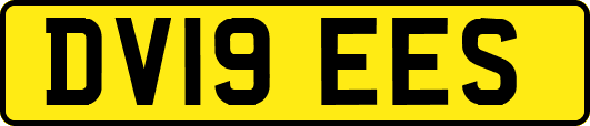DV19EES