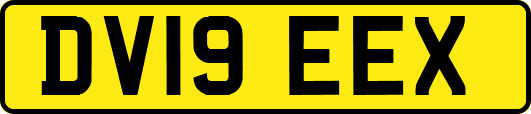 DV19EEX