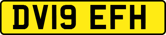 DV19EFH