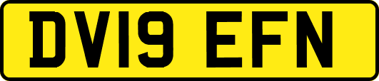 DV19EFN