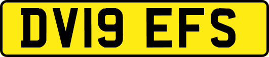 DV19EFS