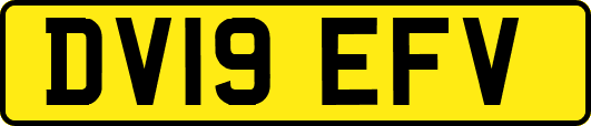 DV19EFV