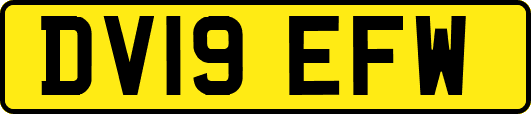 DV19EFW