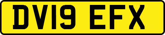 DV19EFX