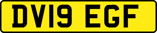 DV19EGF
