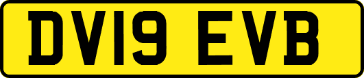 DV19EVB