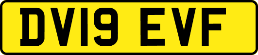DV19EVF