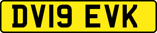 DV19EVK