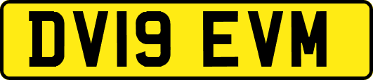 DV19EVM