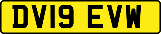 DV19EVW