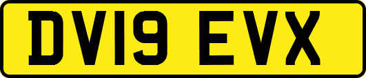 DV19EVX