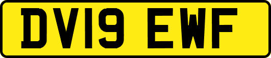 DV19EWF