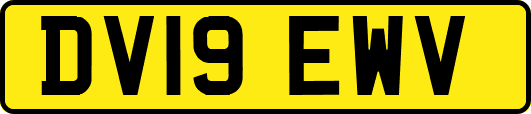 DV19EWV