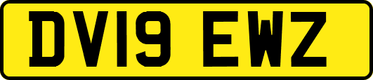 DV19EWZ