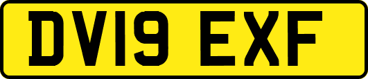 DV19EXF