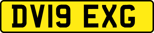 DV19EXG