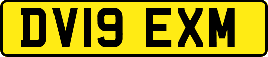 DV19EXM