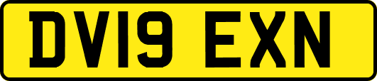 DV19EXN