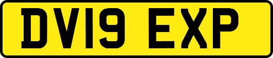 DV19EXP