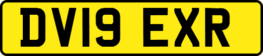 DV19EXR