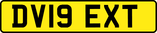 DV19EXT
