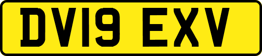 DV19EXV