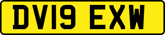 DV19EXW