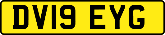 DV19EYG