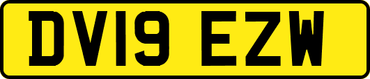 DV19EZW